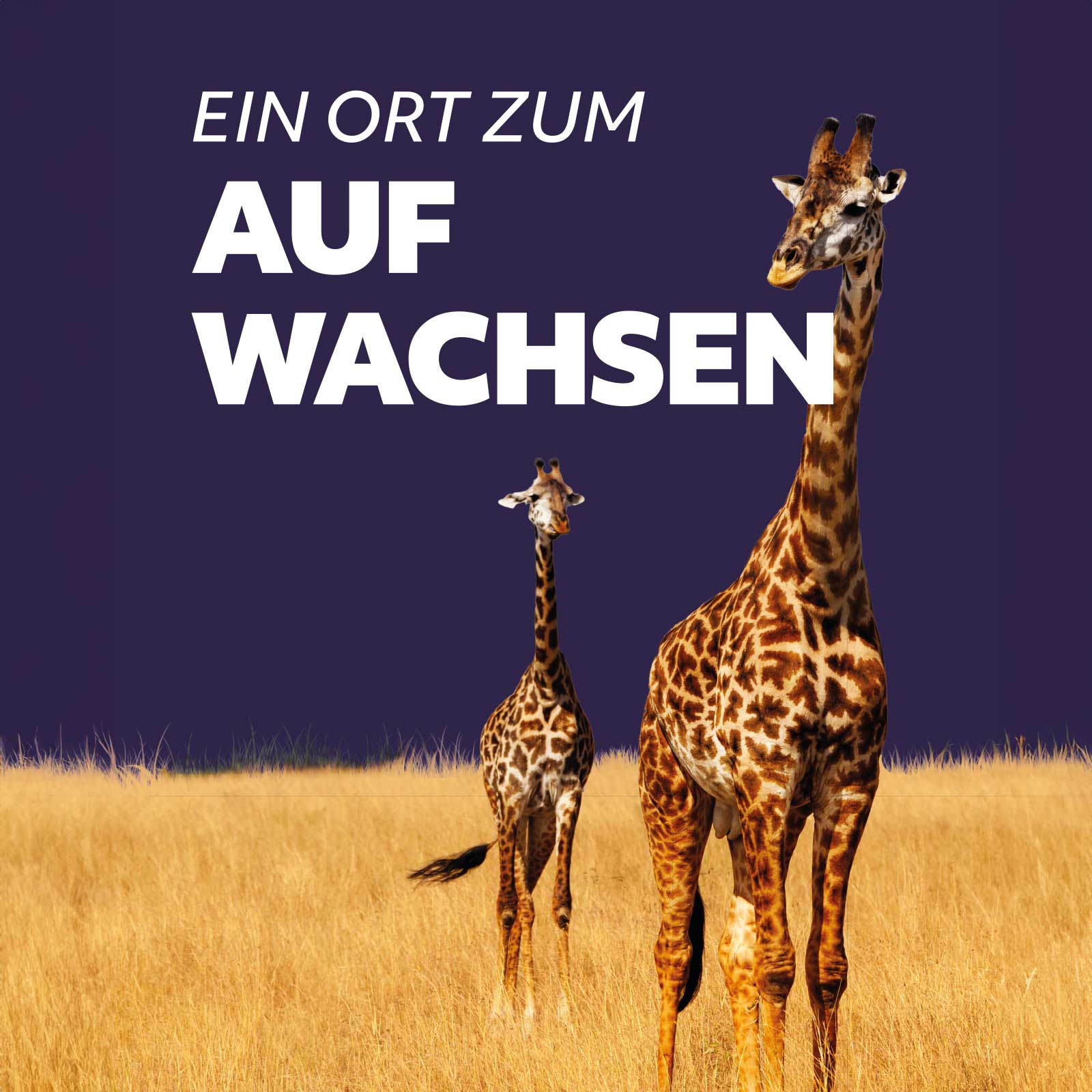 Giraffe und Slogan für die Banner